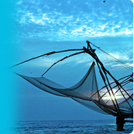 Chinese Fishing Net - Fish Cusine